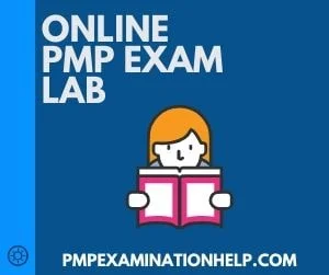 Online Capm Exam Help